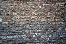 opus_spicatum__058248800_1642_27082015_Forges