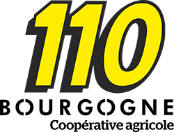 logo 110 Bourgogne